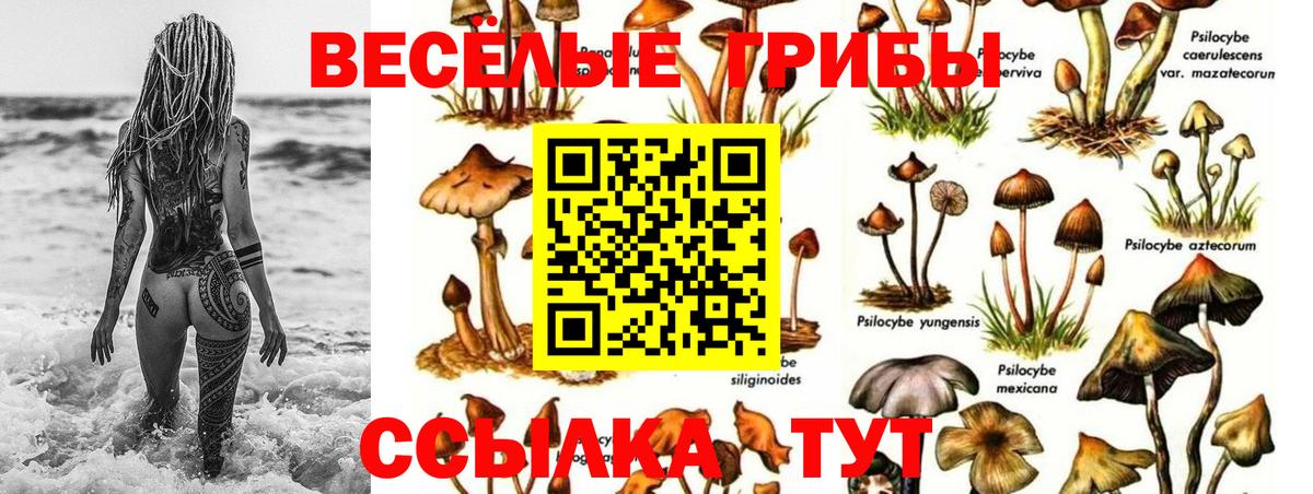 Нефтеюганск  Галлюциногенные грибы прущие грибы  Вход с VPN 